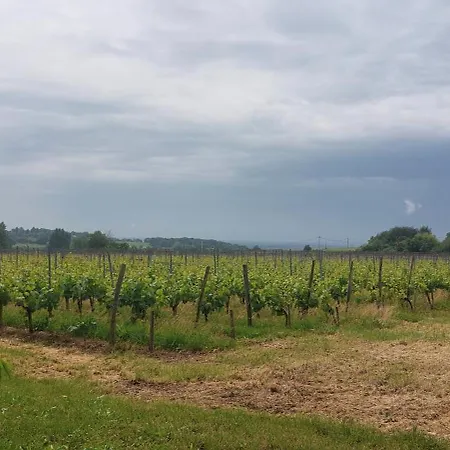 Prázdninový dům Cosy Independant A - Proche Citadelle De Blaye *